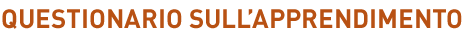 Questionario sull'apprendimento